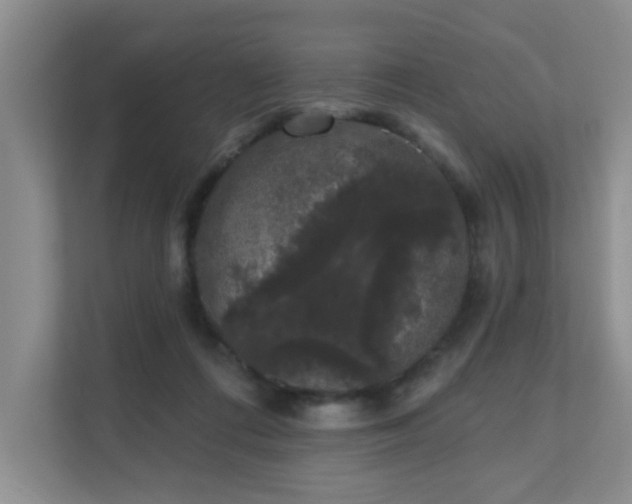 X0000111620312200907171249
