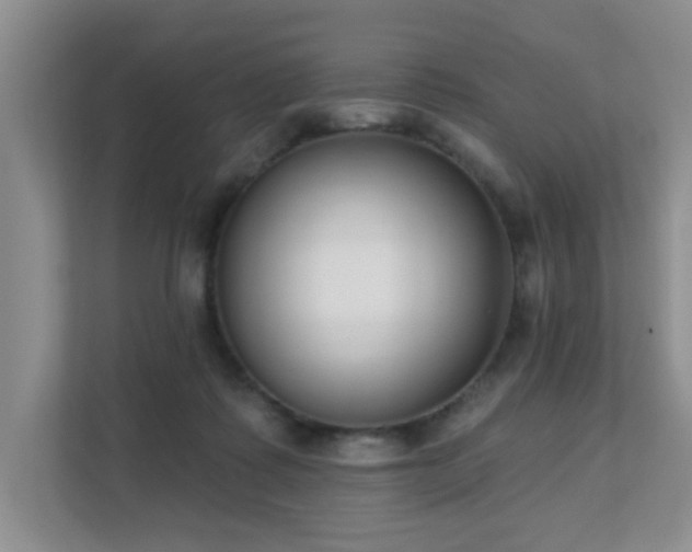 X0000111620315200907171249
