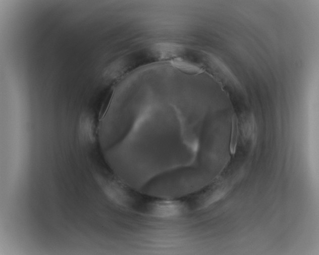 X0000111620316200907171249