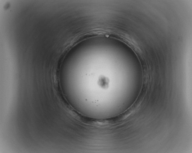 X0000111620317200907171249
