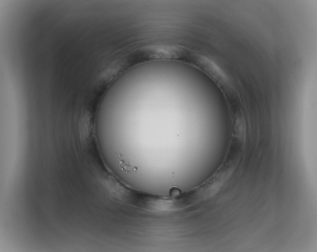 X0000111620318200907171249