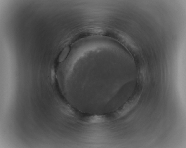 X0000111620320200907171249