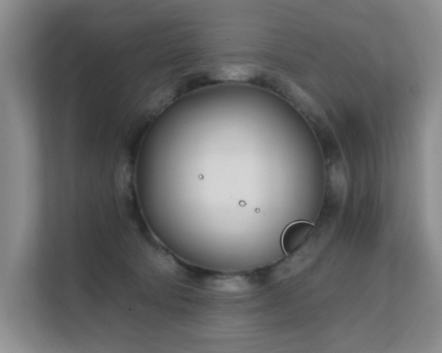 X0000111620322200907171249