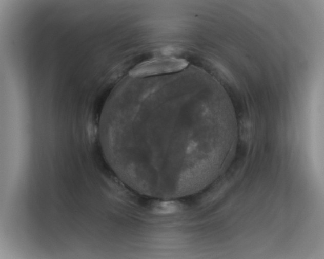 X0000111620324200907171249