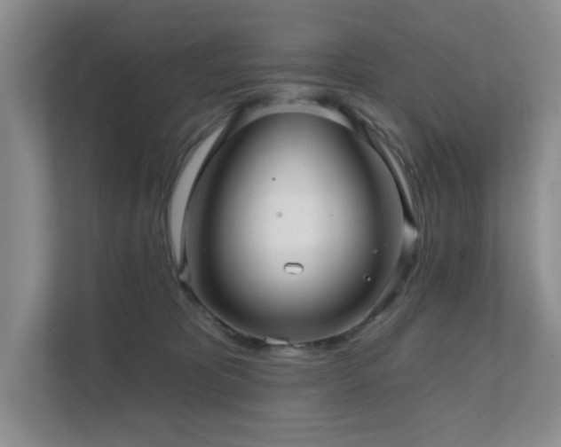 X0000111620325200907171249