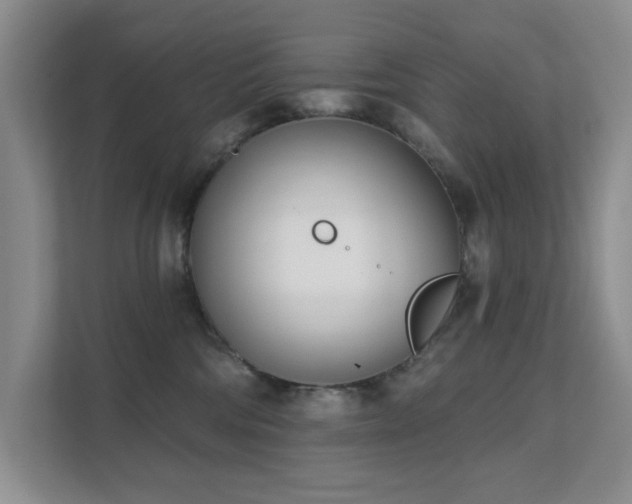 X0000111620330200907171249