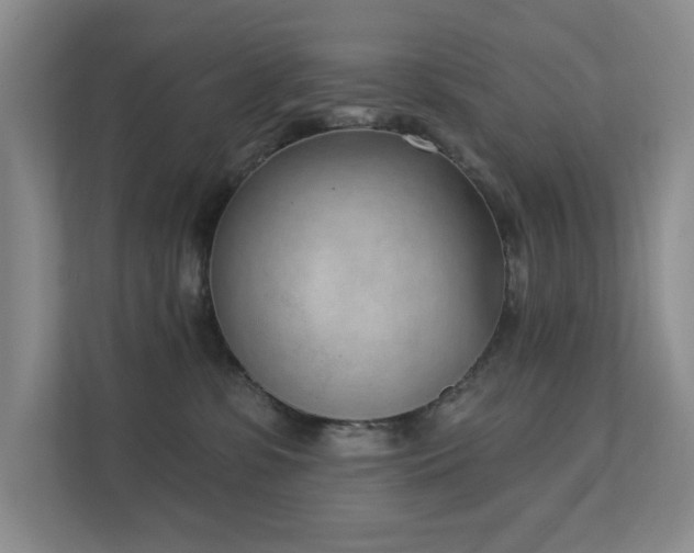 X0000111620331200907171249
