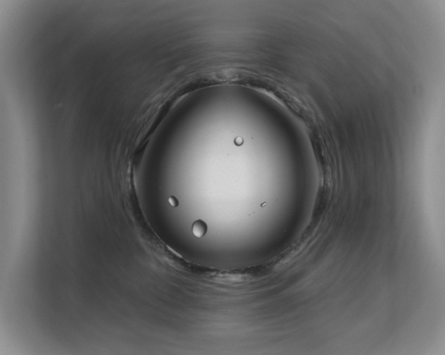 X0000111620332200907171249