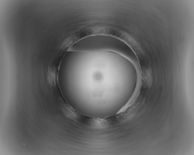 X0000111620333200907171249