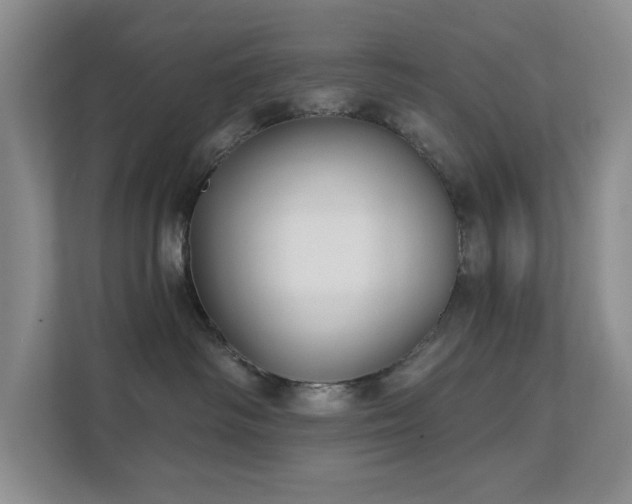 X0000111620334200907171249