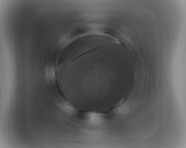 X0000111620336200907171249