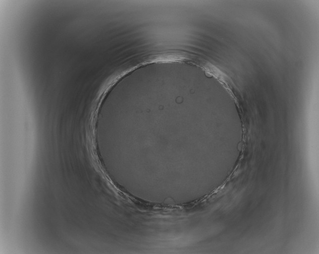 X0000111620337200907171248