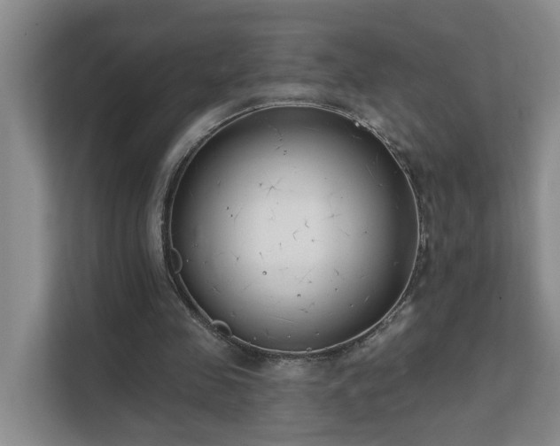 X0000111620341200907171248