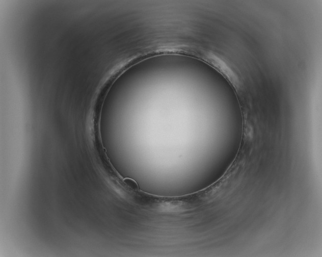 X0000111620346200907171248