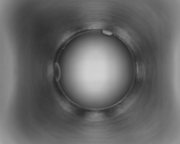 X0000111620348200907171248