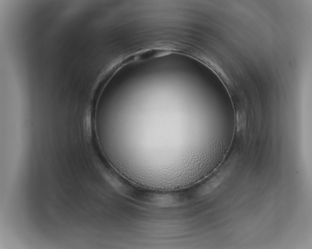 X0000111620349200907171248