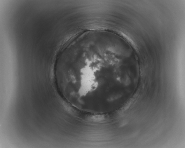 X0000111620353200907171248