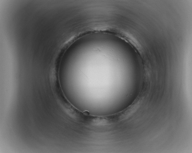 X0000111620354200907171248