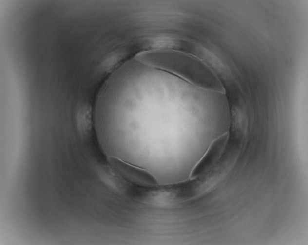 X0000111620356200907171248
