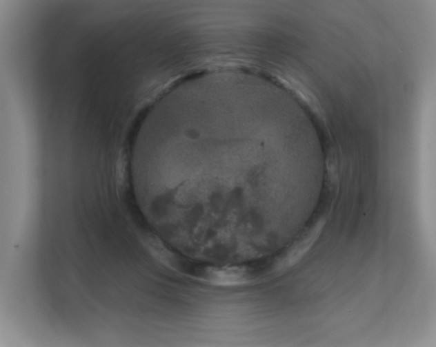 X0000111620359200907171249