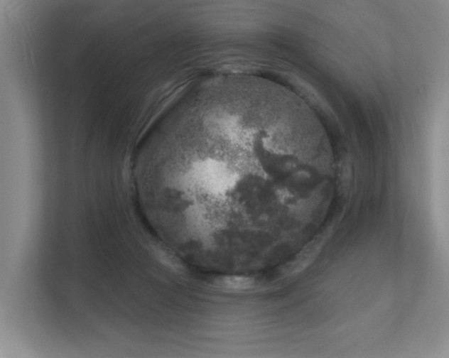 X0000111620361200907171249