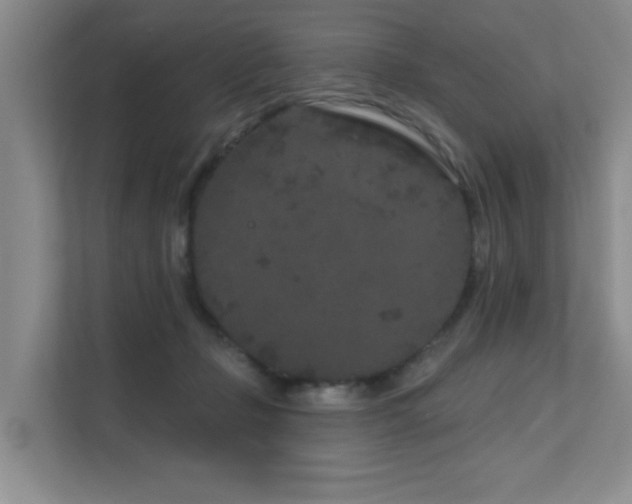 X0000111620365200907171249