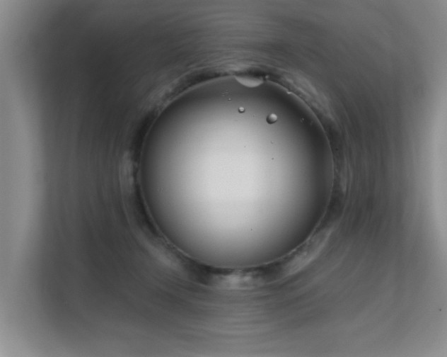 X0000111620366200907171249