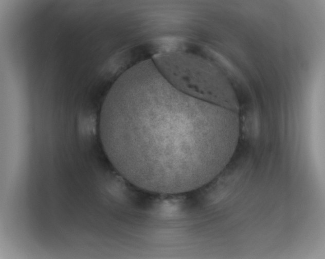 X0000111620368200907171249