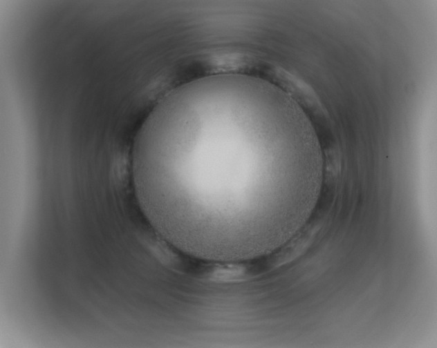 X0000111620369200907171249