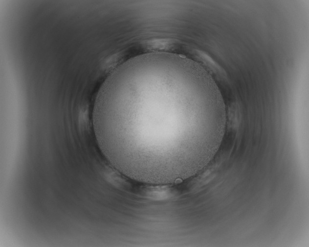 X0000111620377200907171249