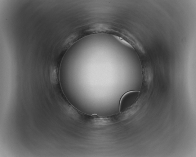 X0000111620378200907171249