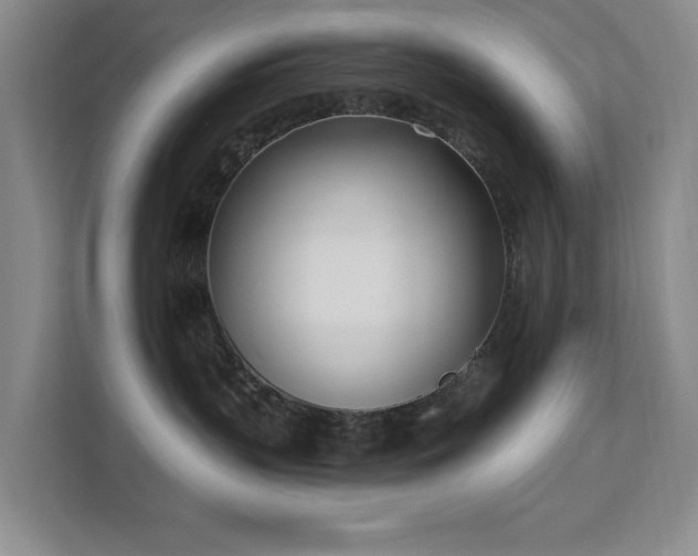 X0000111620383200907171249