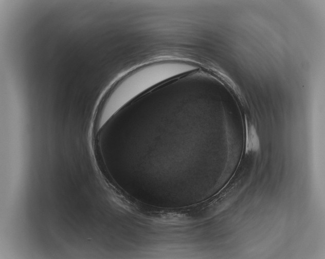 X0000111620387200907171248