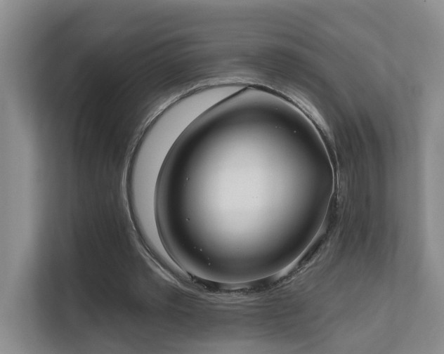 X0000111620389200907171248