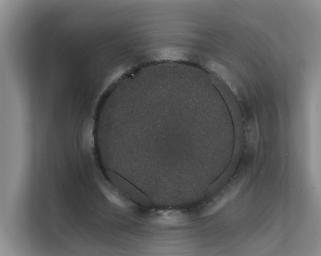 X0000111620395200907171248