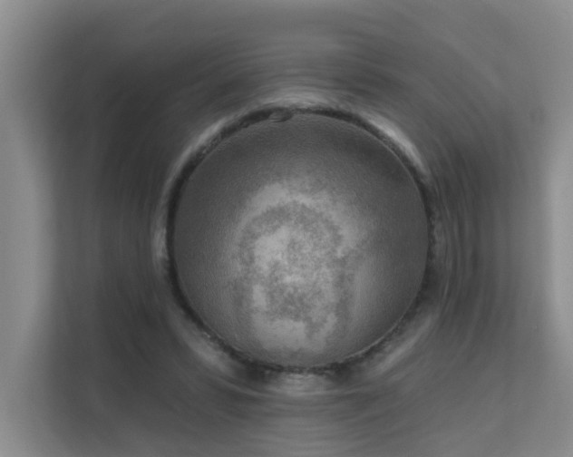 X0000111620399200907171248