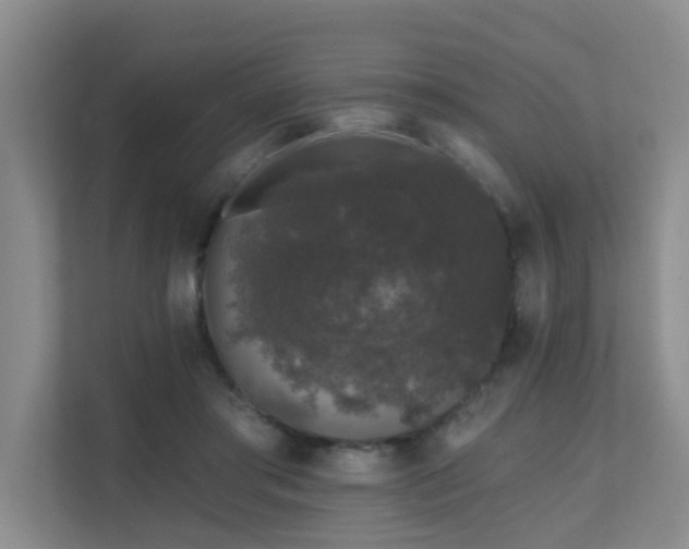 X0000111620405200907171248