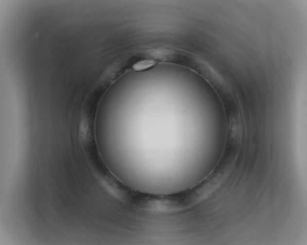 X0000111620408200907171248
