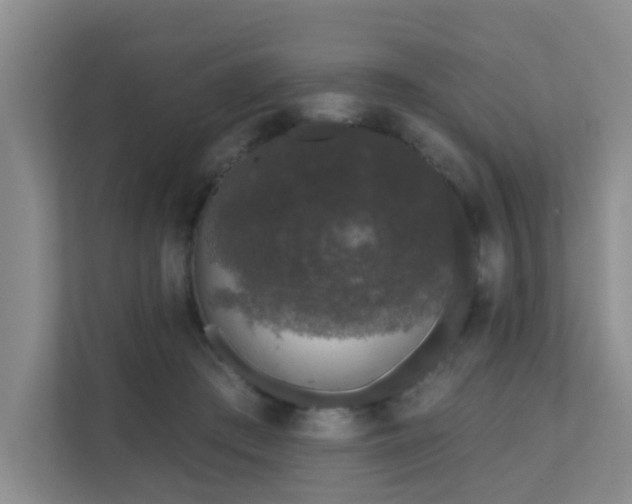 X0000111620409200907171248