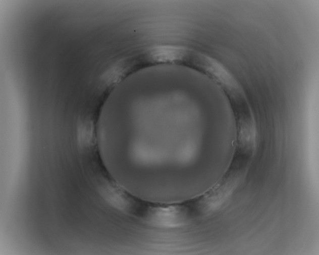 X0000111620411200907171248