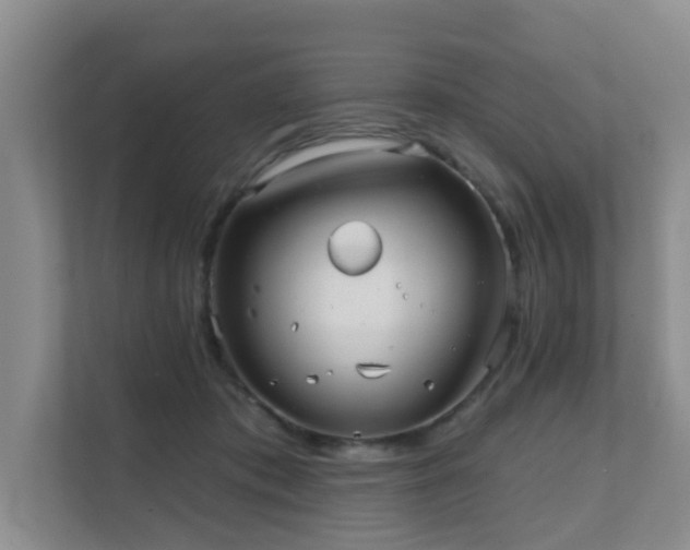 X0000111620413200907171248