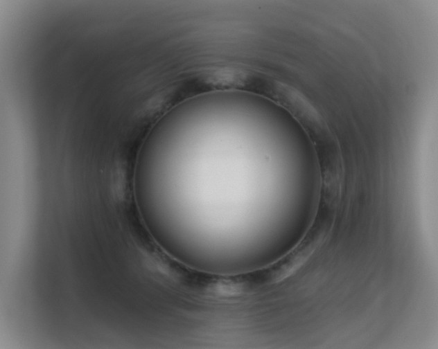 X0000111620416200907171248