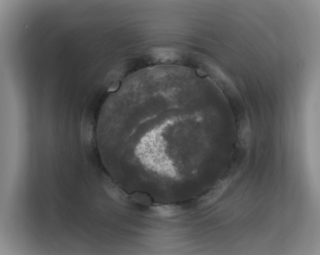 X0000111620417200907171248