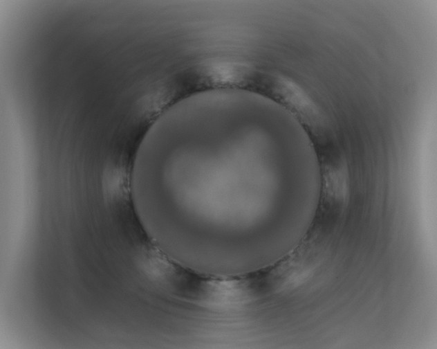 X0000111620419200907171248
