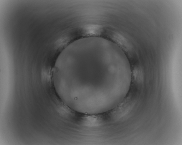 X0000111620423200907171248