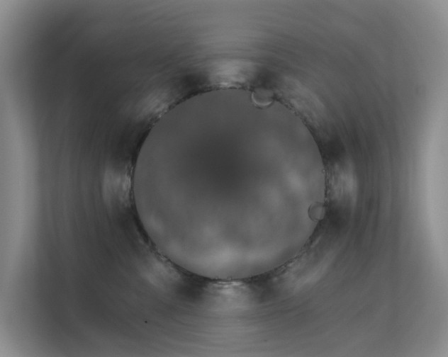 X0000111620427200907171248