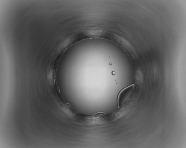 X0000111620428200907171248