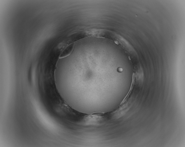 X0000111620429200907171248