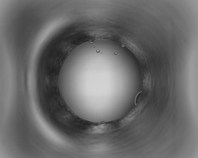 X0000111620430200907171248