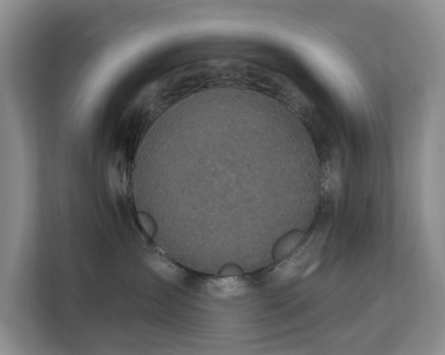X0000111620431200907171248